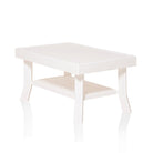 Premium Chair & Table 4+1 (Milky White) | HOMEGENIC.