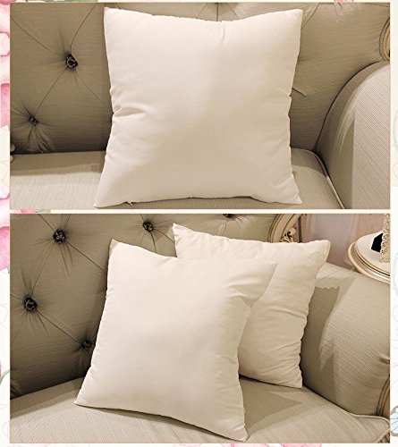 Recron Certified Paradise Microfiber Cushions 16 x 16 inch, White - Set of 5 | HOMEGENIC.