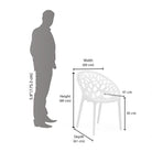 Nilkamal Crystal PP Chairs (White Color) | HOMEGENIC.
