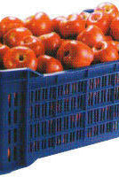 Nilkamal Crates for Vegetable and Fruits | HOMEGENIC.