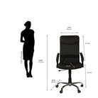 Nilkamal Acqua High Back Mesh Office Chair | HOMEGENIC.