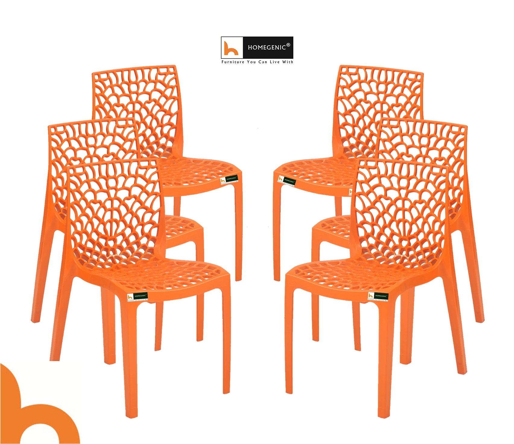 Spider Web Chairs For Outdoor and Indoor | HOMEGENIC.