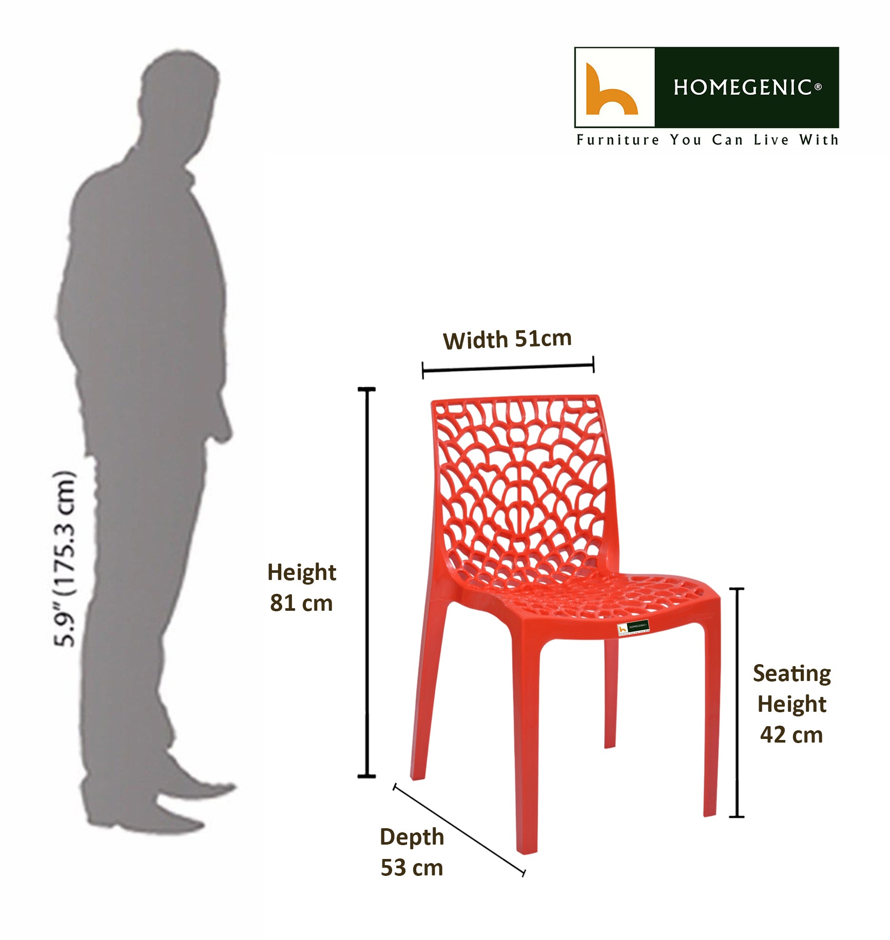 Spider Web Chairs For Outdoor and Indoor | HOMEGENIC.