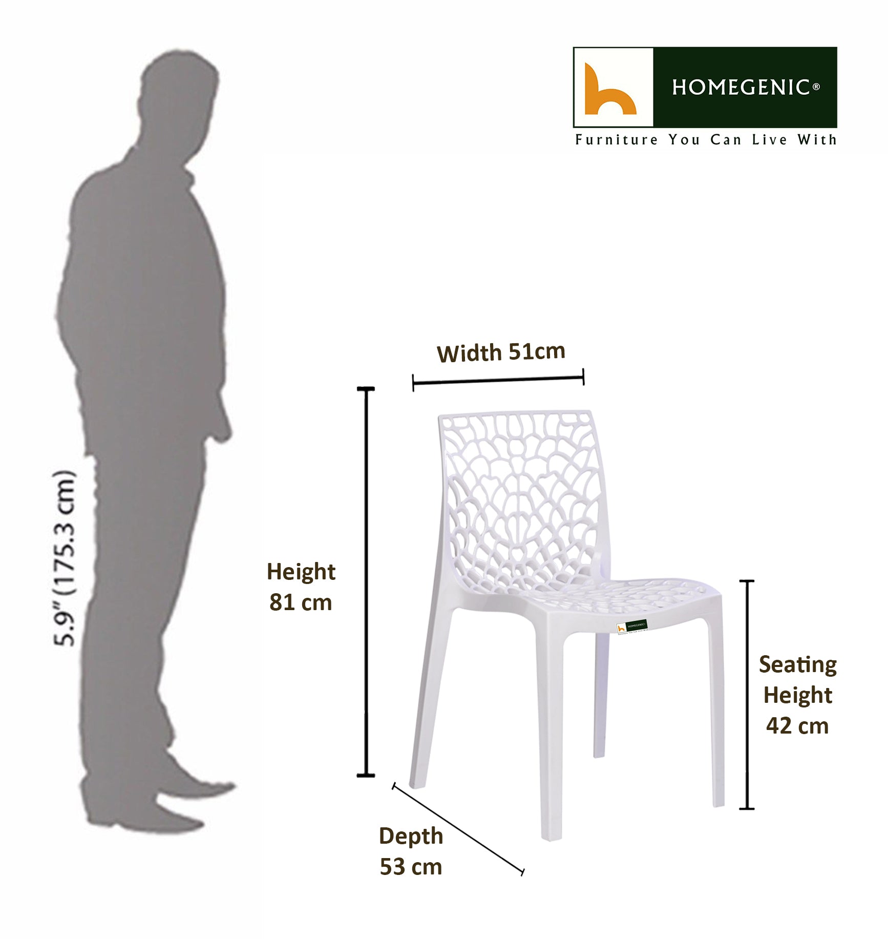 Spider Web Chairs For Outdoor and Indoor | HOMEGENIC.
