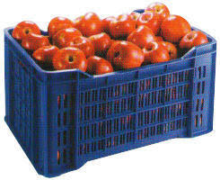 Nilkamal Crates for Vegetable and Fruits | HOMEGENIC.